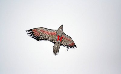 ​第11期：翱翔的非遗——风筝