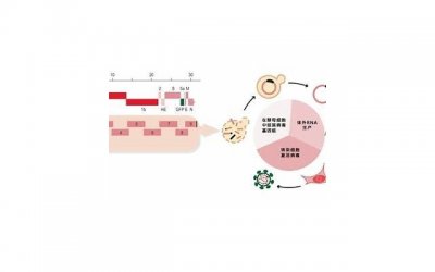 ​挽回感情法术大介绍让你重获爱情的方法武器