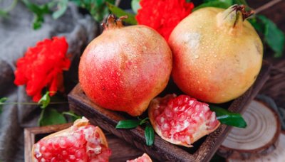 ​石榴属于凉性还是热性