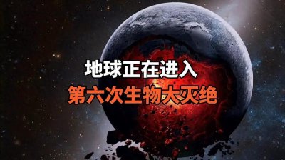 ​地球正面临第六次大灭绝，这不是开玩笑，罪魁祸首或是人类