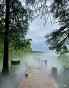 ​东湖景区详细游玩攻略，武汉景色最美的景区，详细线路分享