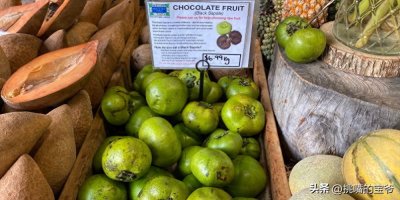 ​拥有巧克力味道，被称为“柿中之王”的黑柿，究竟是一种什么水果