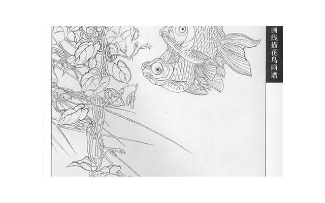 水杨酸棉片使用方法（水杨酸棉片正确用法）