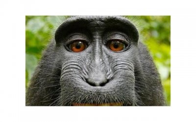 ​怎样判断有没有被骗婚（避免婚后被骗的方法）