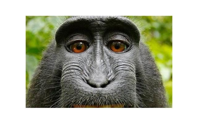 怎样判断有没有被骗婚（避免婚后被骗的方法）