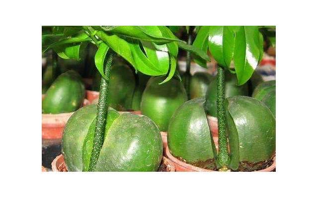 你是否遇到过双相情感障碍？了解这个症状，让你更懂自己和TA