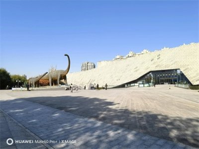 ​“安徽之旅”～参观安徽地质博物馆