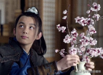 ​琅琊榜：梅长苏的小侍卫飞流结局怎样？从萧庭生的回忆中可知道