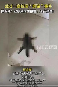 ​武汉某大学虐猫后续，校方已行动，知情人透露，多次作案未受处罚