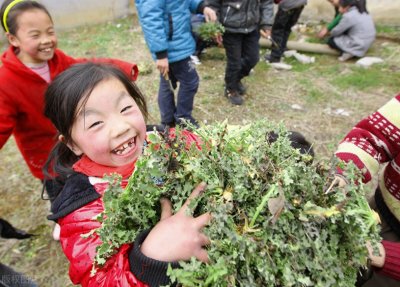 ​中国公认最好吃的几种野菜，全都吃过的人不多，你最喜欢哪个呢？