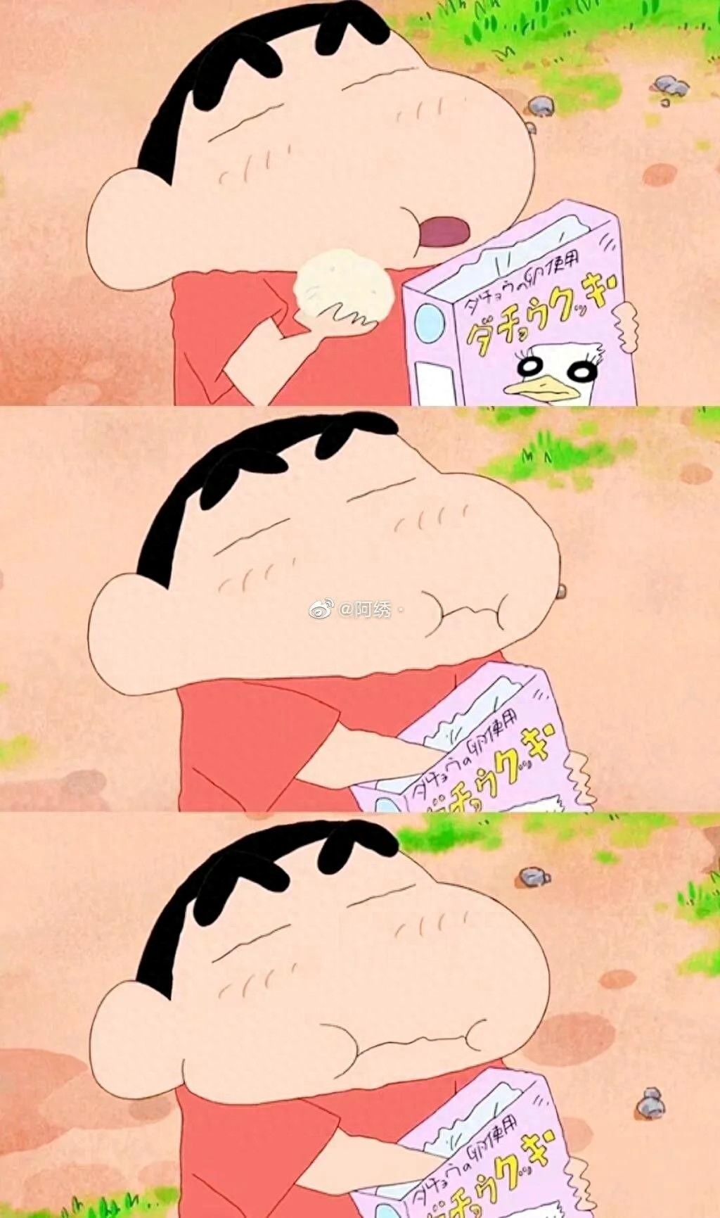 今日份壁纸  ||  骑大象的小新~~