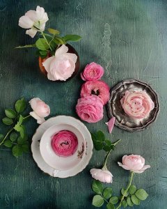 ​12月正能量的句子（十二月致自己的人生哲理）