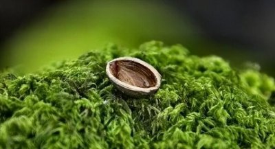 ​香蕉皮属于什么垃圾分类(香蕉皮是厨余垃圾吗)