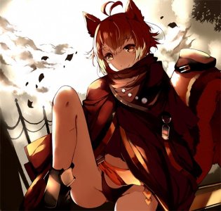 ​这些动漫中的猫耳娘，有爱就抱走吧