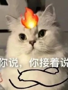 ​奇葩的意思是什么(夏夜荷花中奇葩的意思是什么)