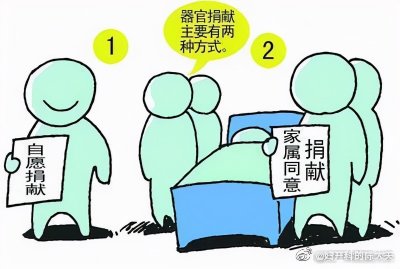 ​科普一下器官捐献