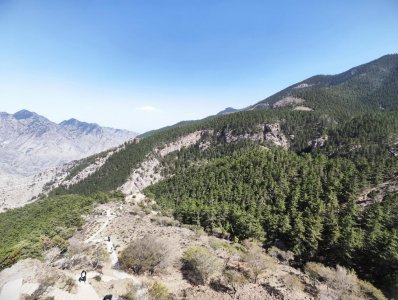 ​宁夏全面启动2023年林草湿调查监测，掌握林草湿资源年度消长动态变化