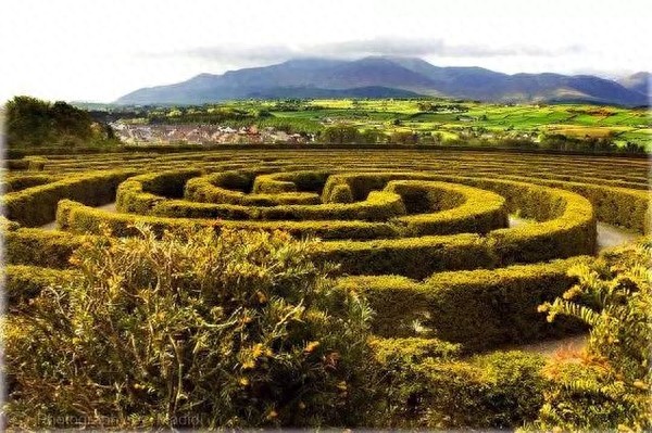 盘点世界八大最著名的迷宫