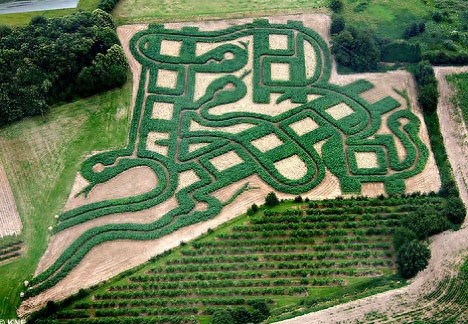 盘点世界八大最著名的迷宫