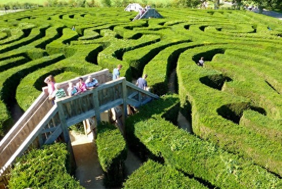 盘点世界八大最著名的迷宫