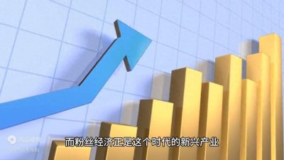 ​《浅谈粉丝经济》——带您了解粉丝的魅力