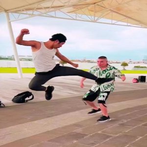 ​中华武术基本功-拳