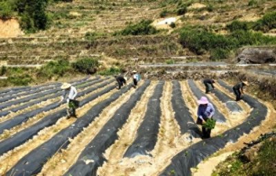​三明泰宁：景美业兴活力足 村强民富生活美