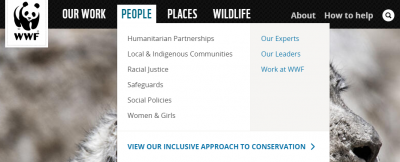 ​ngo是什么意思（ngo组织是什么意思）