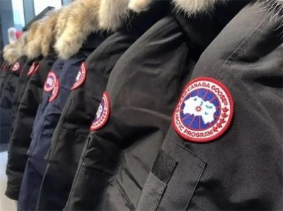 ​加拿大鹅有三种标有啥区别