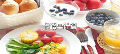 ​卡路里计算（怎么计算卡路里减肥法）