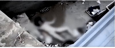 ​轰动厦门的“特大奸杀案”：21岁女孩惨死小巷，身上衣物被扒光