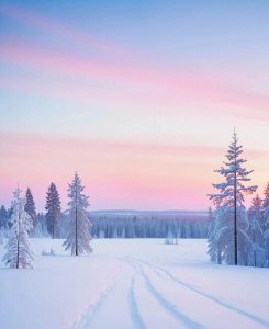 ​【星座爱情密码：揭秘十二星座如何表达爱】