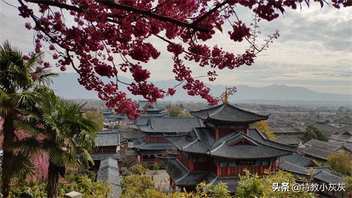 丽江的“紫禁城”·丽江古城·木府