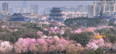 ​如何评价广州这座城市？