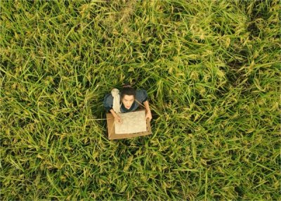 ​农村土地计算方法（农村土地计算方法最新）