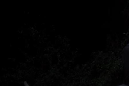 鬼哭神嚎2觉醒女主