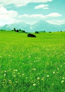 ​黄冈市高中前十名排名 相信很多同学和家长在选择高中...