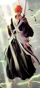 ​【壁纸】经典日漫《BLEACH》死神动漫壁纸