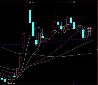 ​大曝光：十亿女王何雪萍2024年3季度重仓股票