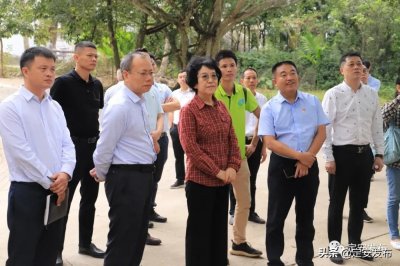 ​省政协副主席马勇霞率调研组到定安调研农业创业发展、乡村产业振兴工作开展情