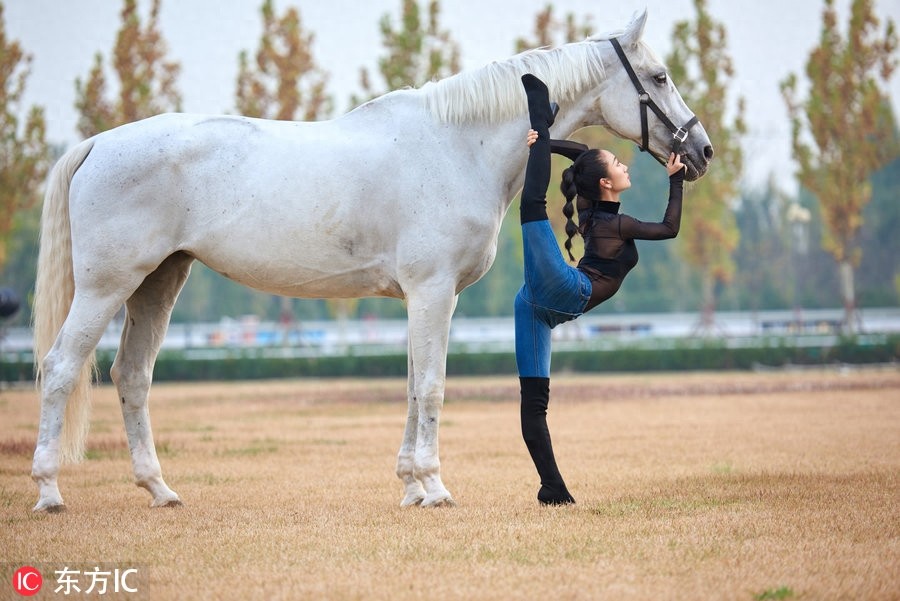长得好看就算了,柔韧性也那么强!中国柔术女王刘藤马背秀劈叉