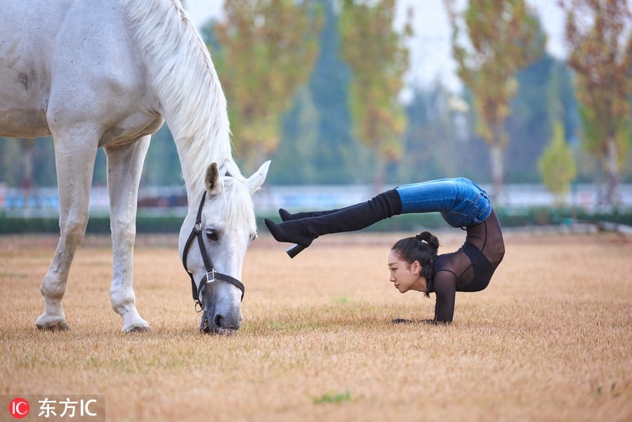长得好看就算了,柔韧性也那么强!中国柔术女王刘藤马背秀劈叉