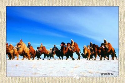 ​美丽富饶的东乌珠穆沁草原