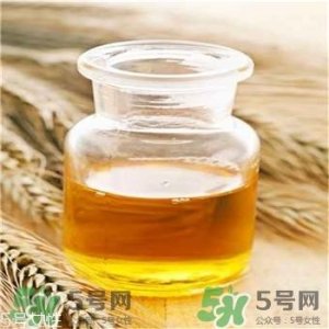 ​小麦胚芽油是什么?小麦胚芽油的功能