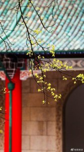 ​别捉迷藏了，同事之间有了这些行为，其实就是暧昧