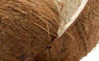 ​椰子汁是什么味道 椰子汁的味道是酸的吗