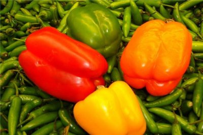 ​适合在农村创业好项目，现在农村创业什么项目比较好？