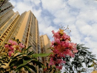 ​高新五虎终成往事，紫薇地产黯然退场：时代的胜利与个体的无奈