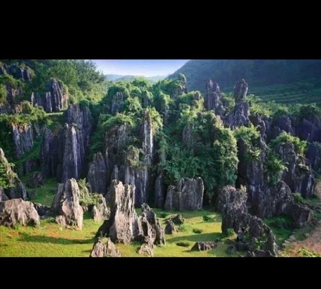 石林在哪里，黄河石林景区位置在哪里？图4