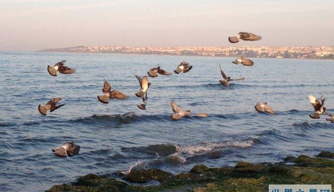 世界上盐度最小的海叫什么